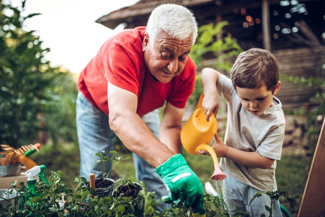 a grandparent gardening with a child