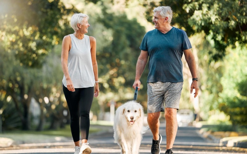 a man and a woman walking a dog on a leash