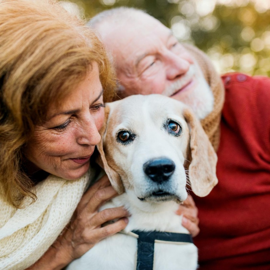 We welcome all your furry friends a man and woman holding a dog