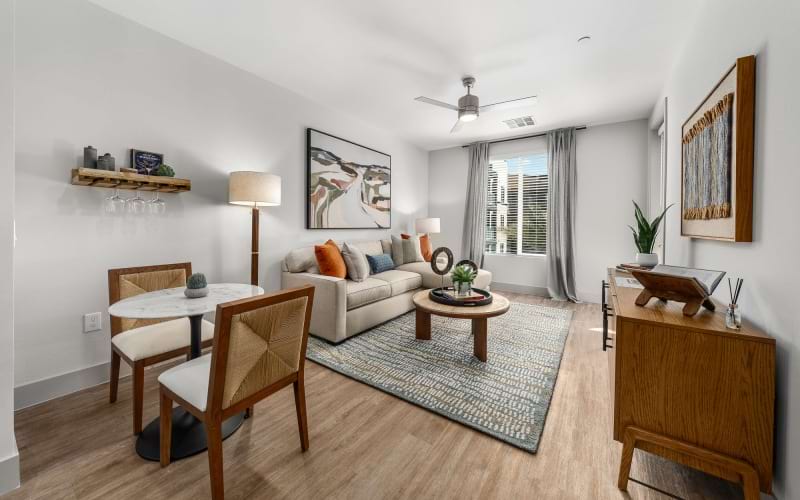 Open space living area with natural lighting