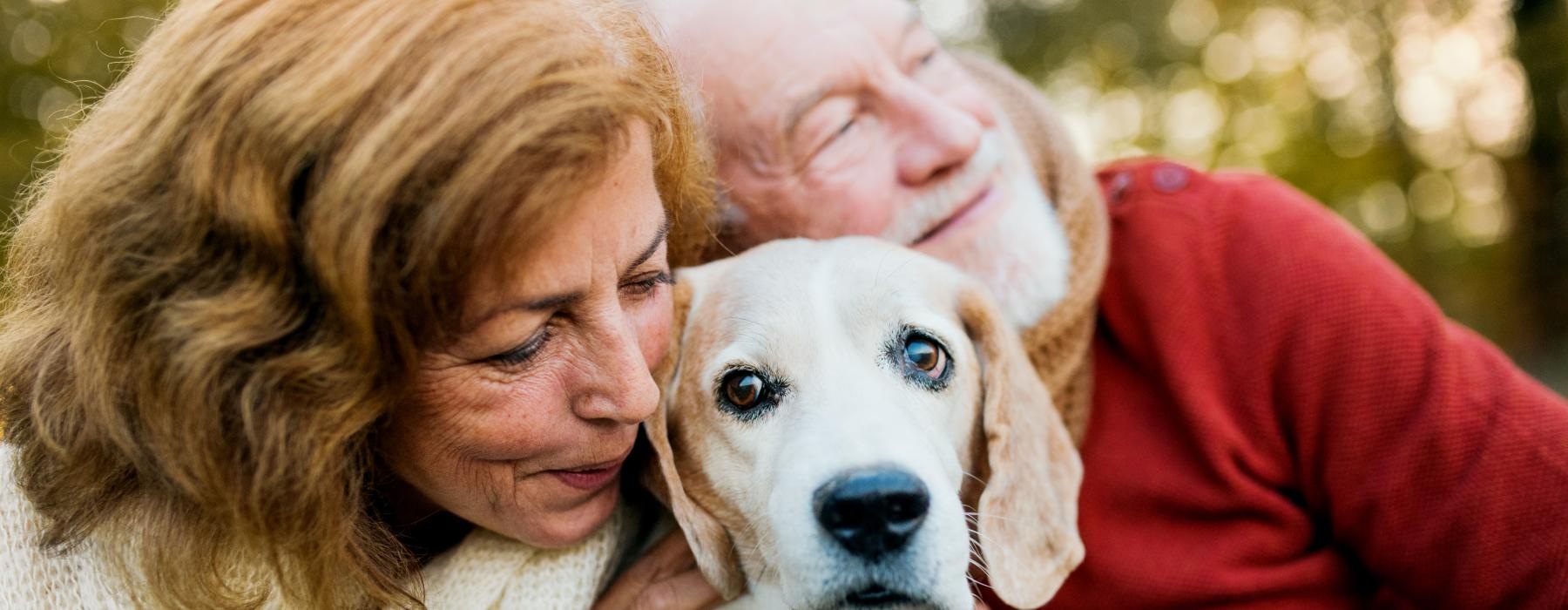 a man and woman holding a dog