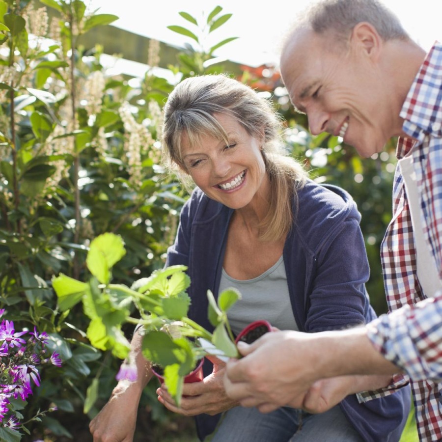 Find your perfect fit at Album Summit Pines a man and a woman looking at a plant