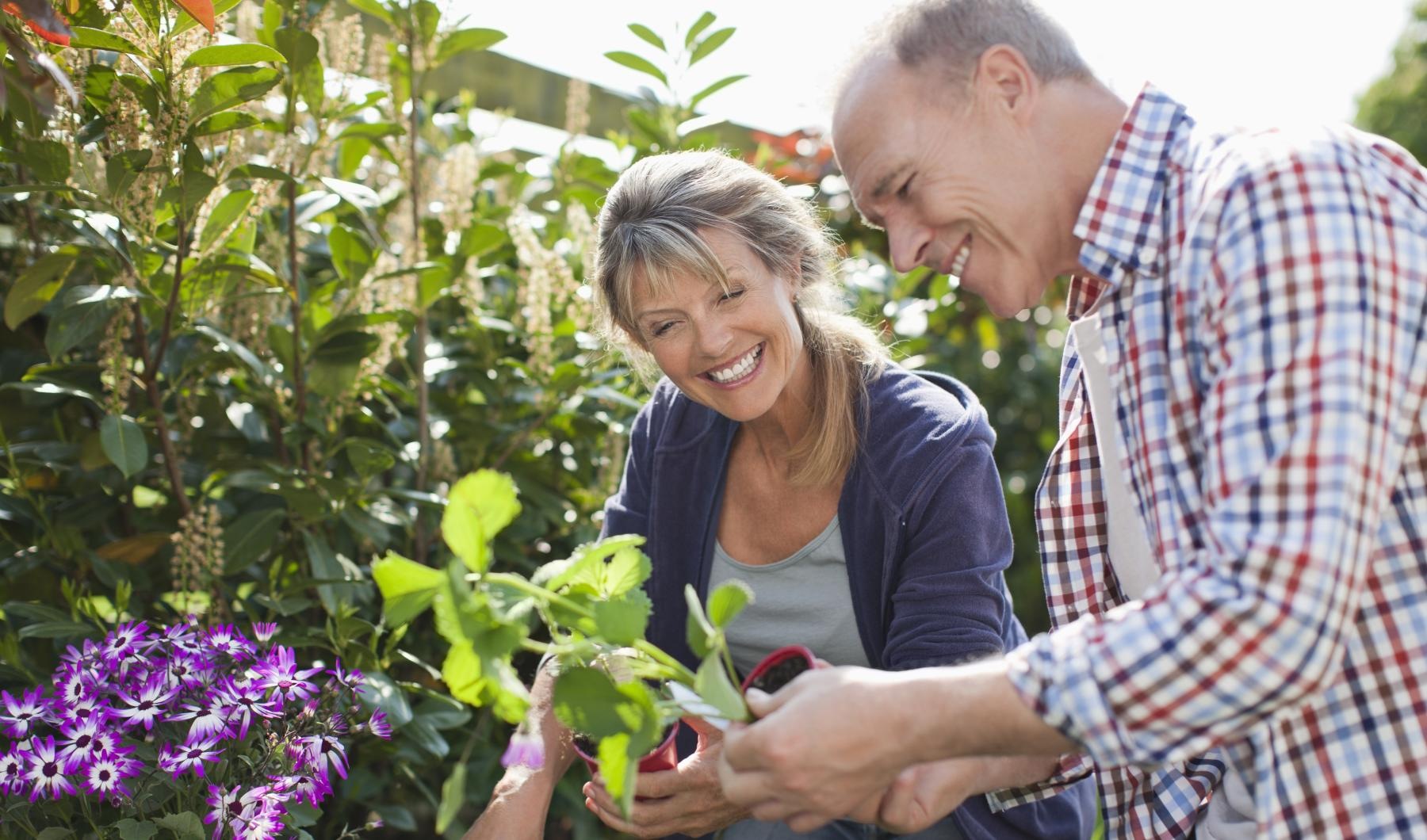 The essence of exceptional living a man and a woman looking at a plant