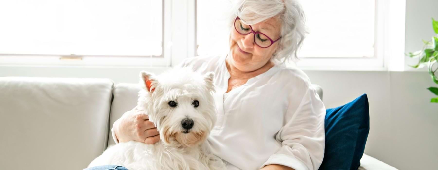 a woman sitting on a couch with a dog