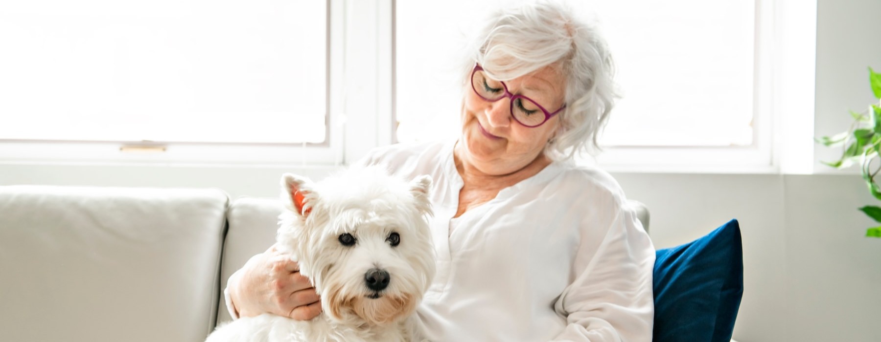a woman sitting on a couch with a dog in her lap