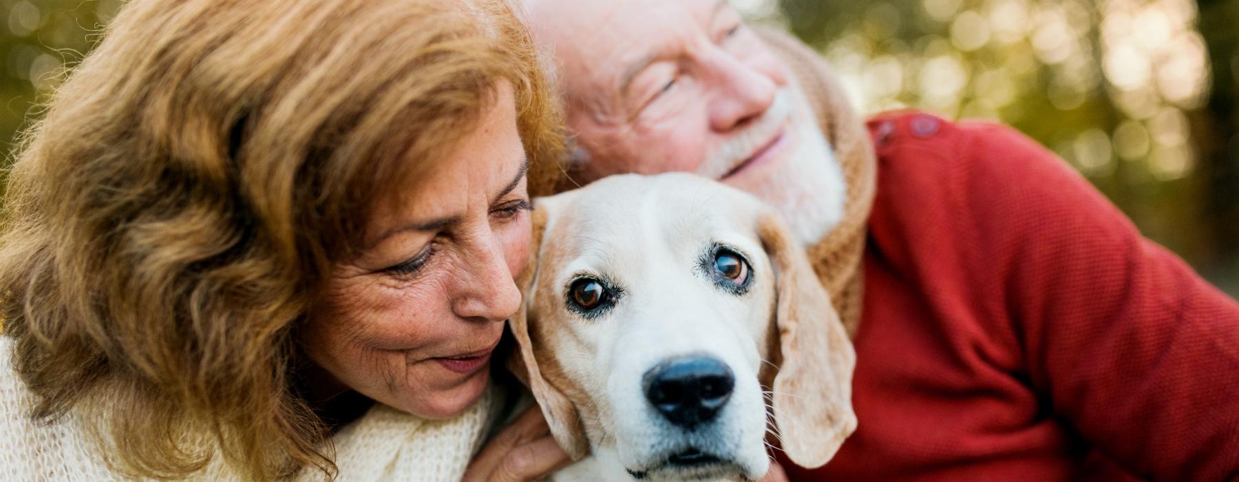 a man and woman holding a dog