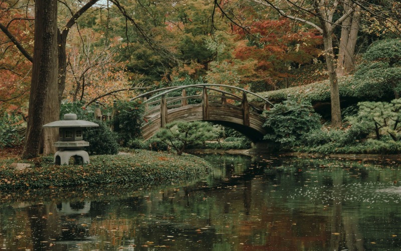 a bridge over a pond at Japanese Garden