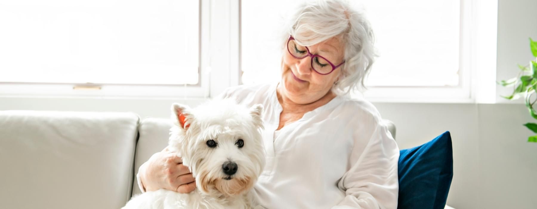 a woman sitting on a couch with a dog